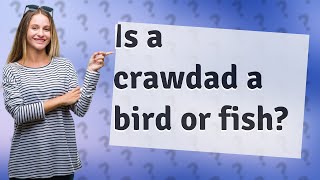 Is a crawdad a bird or fish?