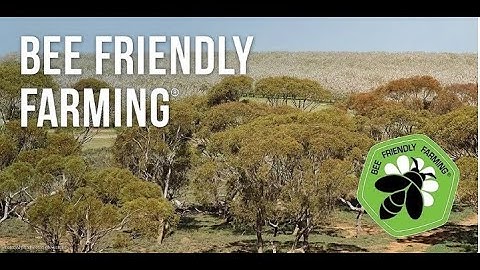 Bee Friendly Farming Introduction Webinar