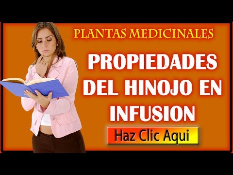 La hierba por el aumento del pecho