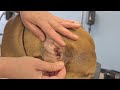 How to Clean Your Dog's Ears - Do-It-Yourself Dog Grooming