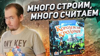 Обзор игры Королевство кроликов