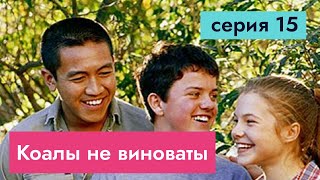 Коалы не виноваты, серия 15/26