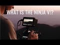 What is the Atomos NINJA V!? a full beginners explanation + a review for buyers