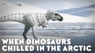 Dinosaurs Lived--and Made Little Dinos--in the Arctic