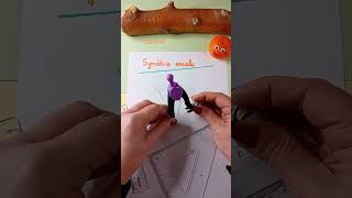 ⭕ Symétrie Axiale d'un Cercle | 📝 Exercices de Maths Corrigés 🔄 📏 ✓