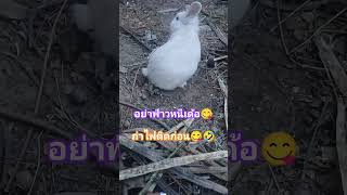 #คนไทยเป็นคนตลก55555
