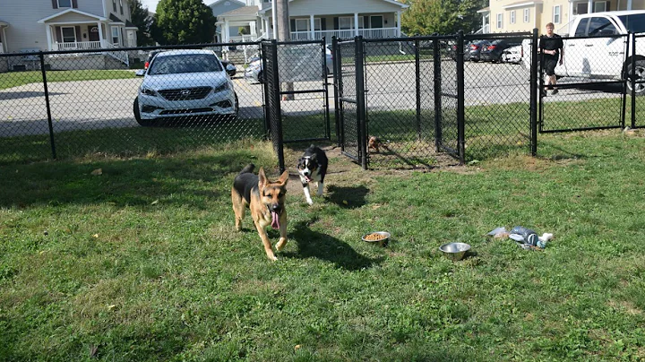 Bark Park