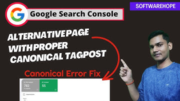 Alternate Page with Proper Canonical Tags and doing_wp_cron