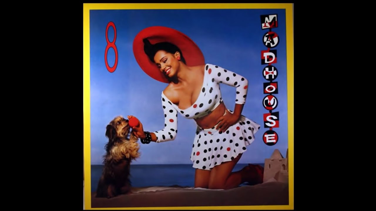 Prince: RARE MADHOUSE Album 