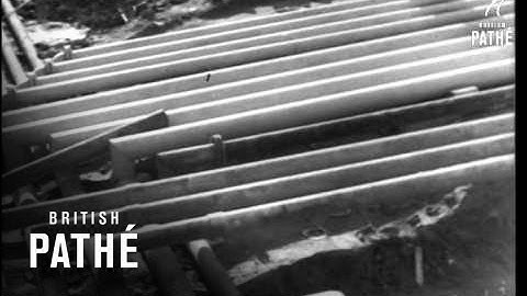 By Pipeline To The Front Aka By Pipe - Line (1944)