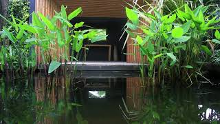 Relaxing Morning Music, Peaceful Soothing, Follow Me By Michael Fesser