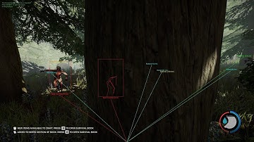 The Forest dumb SH*T Mod api menu