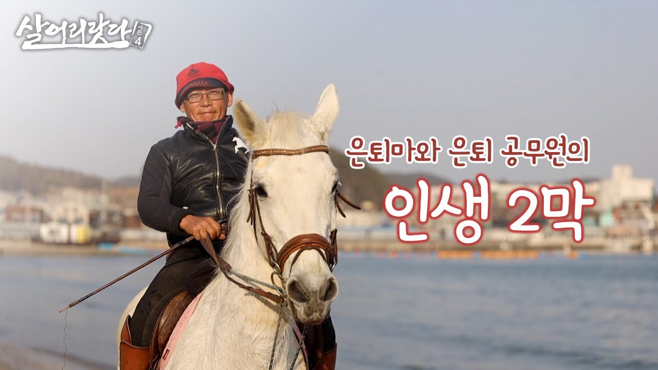 (부산 기장) 경주마로 살다가 은퇴 공무원과 여생을 함께하다!! ktv, Retired official accompany with retired racehorse (시즌4)