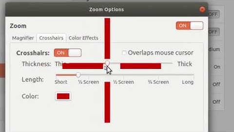 Ubuntu 18 - Zoom or Magnify Screen