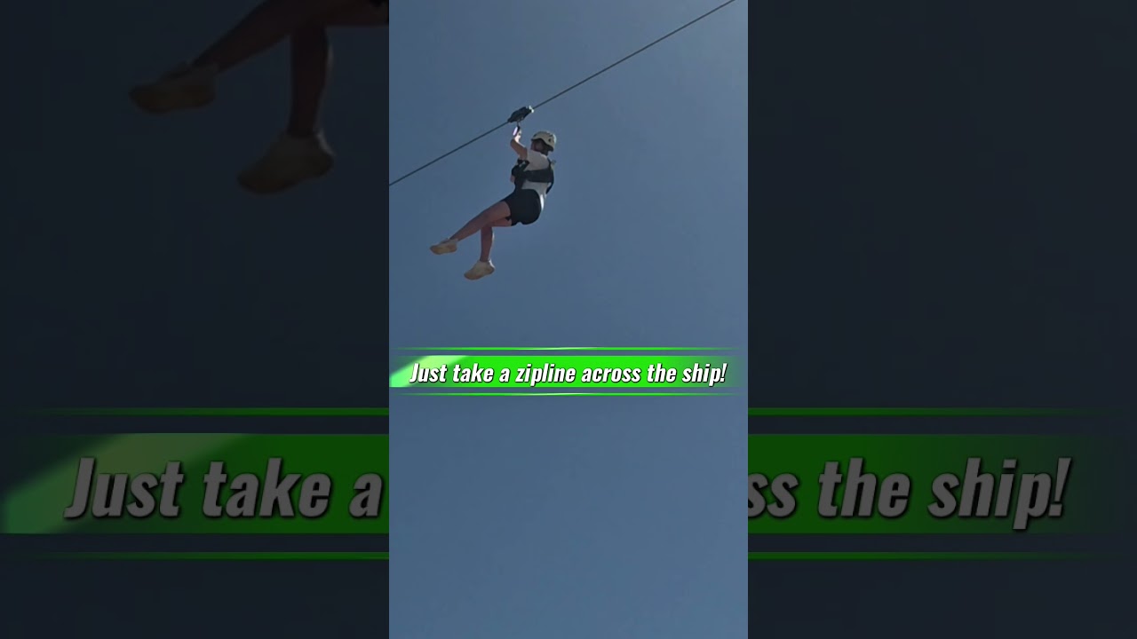 The wildest view on MSC Seaview? Take the zipline! #gatetogangwaywithdanandcat