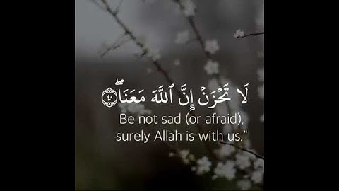 القارئ عبد الرحمن مسعد سورة (التوبة)