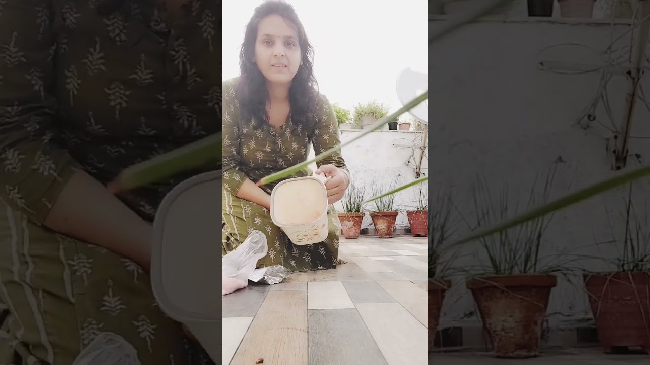 Which Is The Best NPK Fertilizer 19 How To Use 