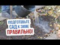 Что такое влагозарядный полив и для чего он нужен? Особенности влагозарядкового полива деревьев