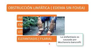 2+2 edema escala de