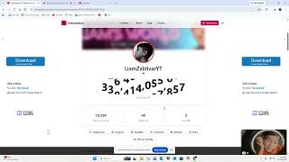 How to fake your subscriber count only on Livecounts.io