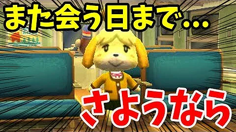 とびだせどうぶつの森 裏ワザ たぬきち 捕まえる