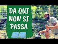 Proteggere ORTO e POLLAIO: la recinzione perfetta