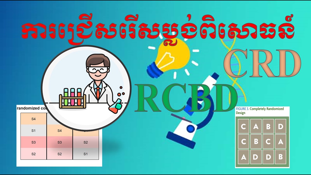 ប្លង់ពិសោធន៍ Completely Randomized Design and Randomized Complete Block ...
