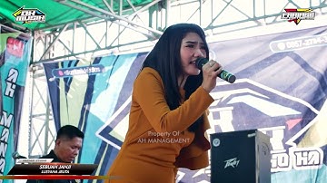 SEBUAH JANJI - LUSYANA JELITA  || DK MUSIK LIVE TAHUNAN JEPARA