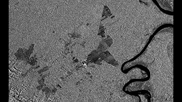 Sentinel-1 Observation of Deforestation in Bolivia