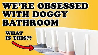 Italian Greyhound Parents Review Doggy Bathroom | The ONLY Dog Litterbox