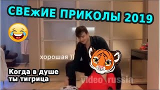 СМЕХ ДО СЛЕЗ | Gifs With Sound | ПРИКОЛЫ 2019 МАЙ #27