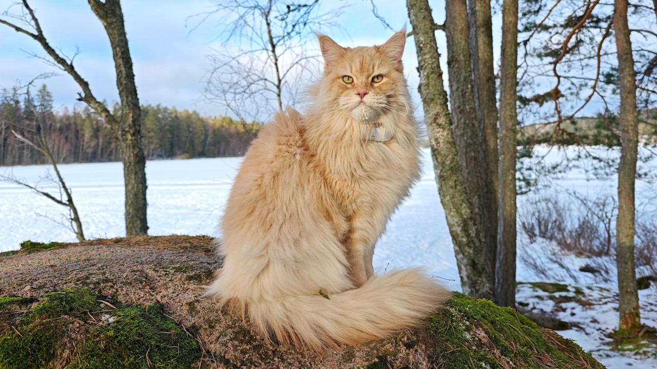Buster On the Frozen Lake!