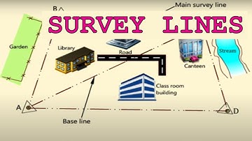 SURVEY LINES || 3DM