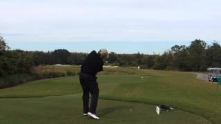 Raymond Floyd Driver Swing