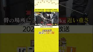 【桝が仕事現場に密着　樹木のお医者さん“樹木医”】徐々に小さくなる巨木　伐採して判明…倒木の危険性