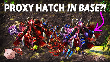 Genius proxy hatch BREAKS Reynor’s brain | Reaper - StarCraft 2