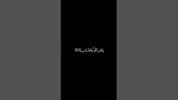 غلبت الروم - سورة الروم || عبدالله الخلف #كرومات_قرآن