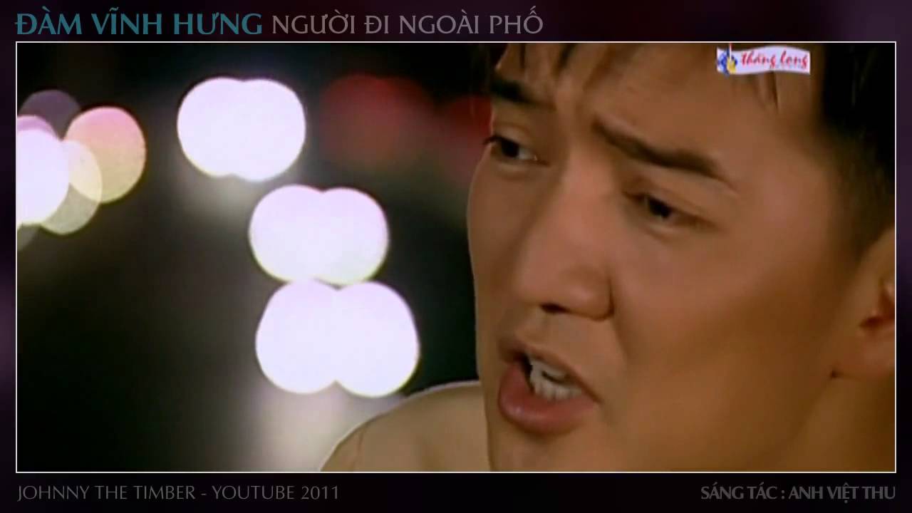 Người đi ngoài phố (Đàm vĩnh Hưng)