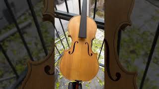 Download Lagu Before and after varnish #woodworking #wood #handmade #violin #tools #blade MP3 Download Lagu Before and after varnish #woodworking #wood #handmade #violin #tools #blade MP3