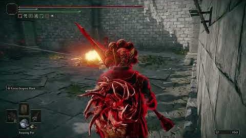 Serpent hunter in a psn tournament (11-15-2025)