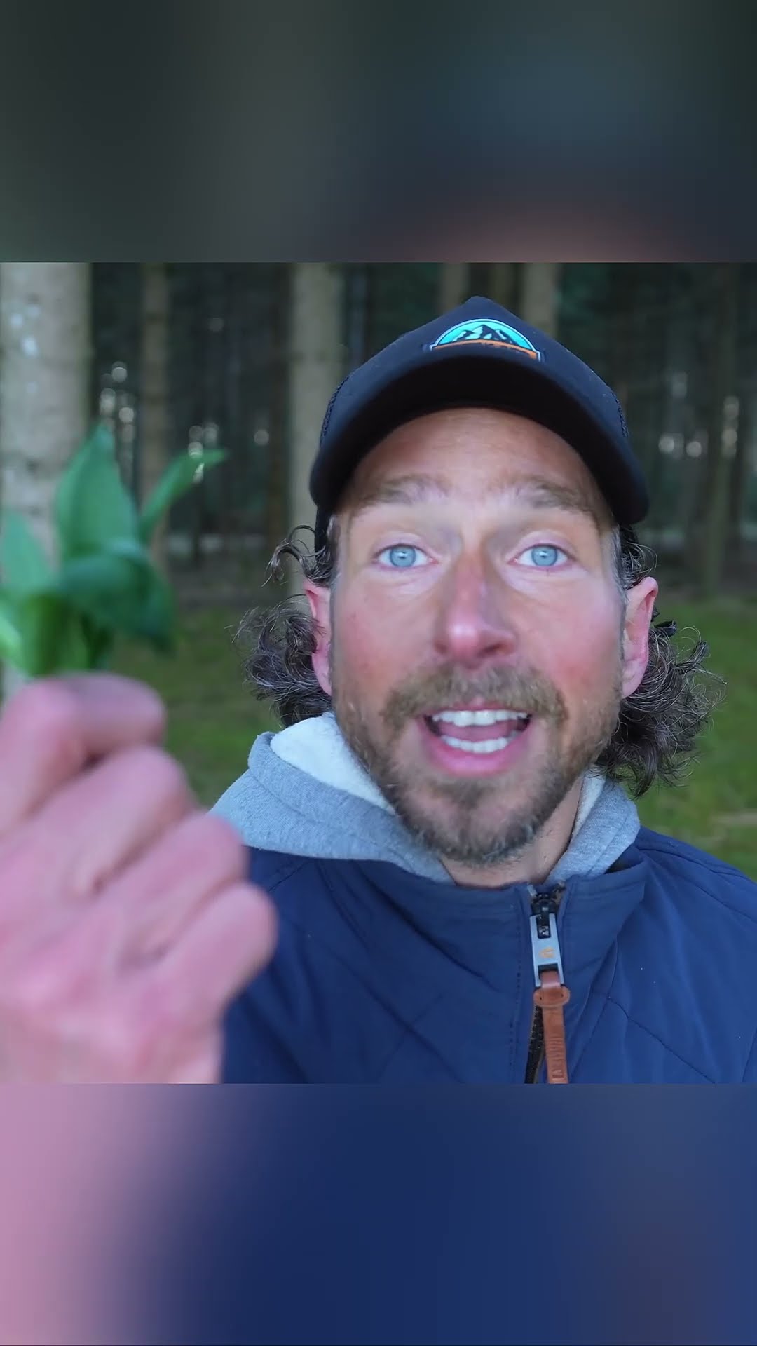 Bärlauch wirkt! 🌱 - YouTube