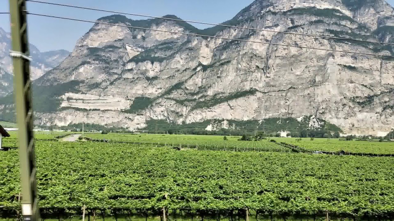 Munich to Bologna YouTube