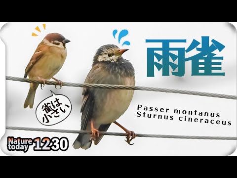 身近な生き物語 身近な生き物語