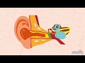 Understanding Earwax