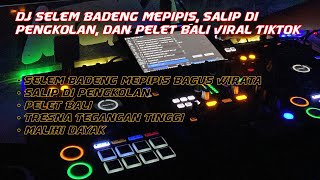 DJ FUNKOT SELEM BADENG MEPIPIS, SALIP DI PENGKOLAN, DAN PELET BALI TIKTOK VIRAL 2023   DJ KANINA