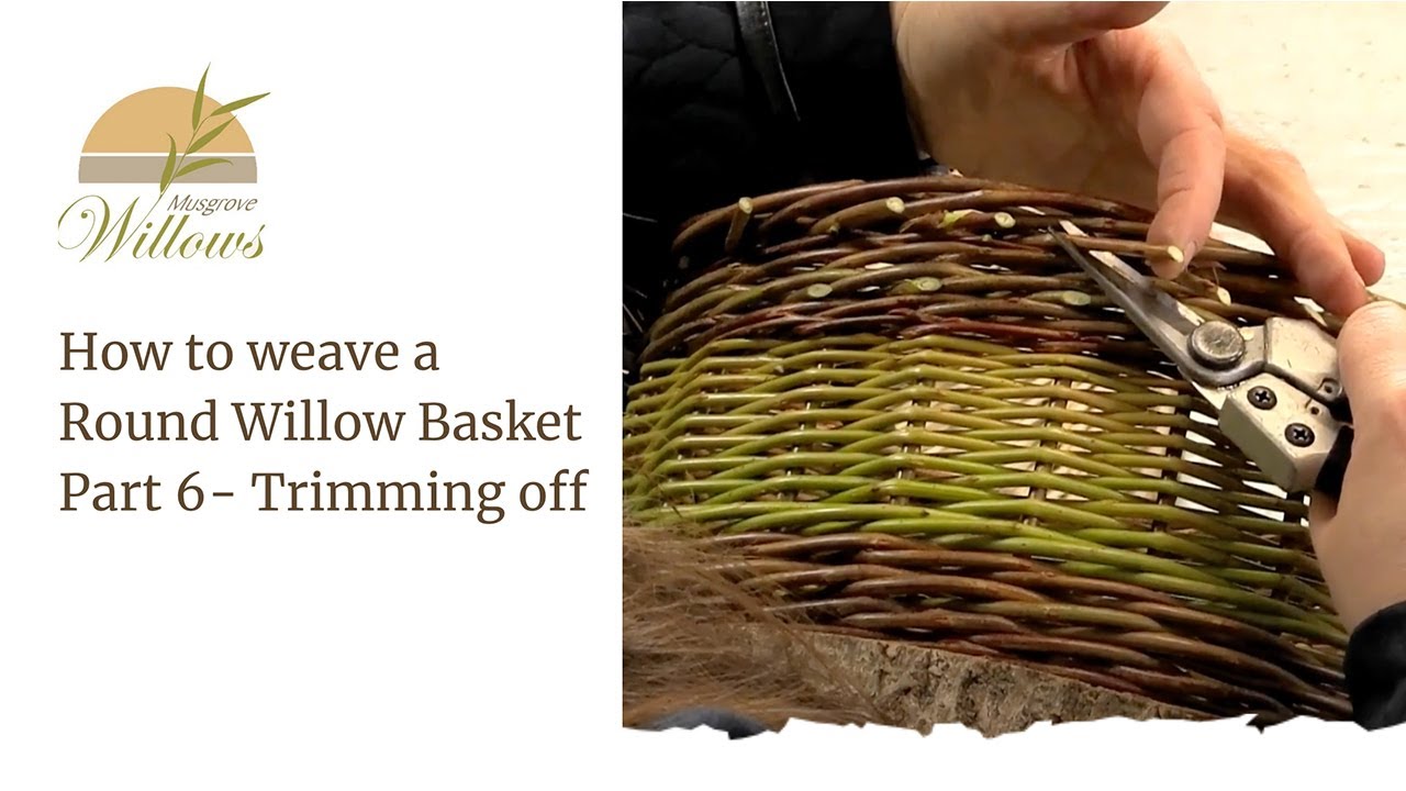 PART 6 How to weave a round willow basket - Finishing Off
