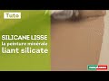 La peinture minrale liant silicate silicane lisse