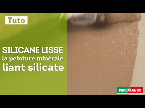 Vidéo: Des peintures au silicate décoreront la façade du chalet