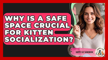 Why Is A Safe Space Crucial For Kitten Socialization? - Happy Cat Handbook