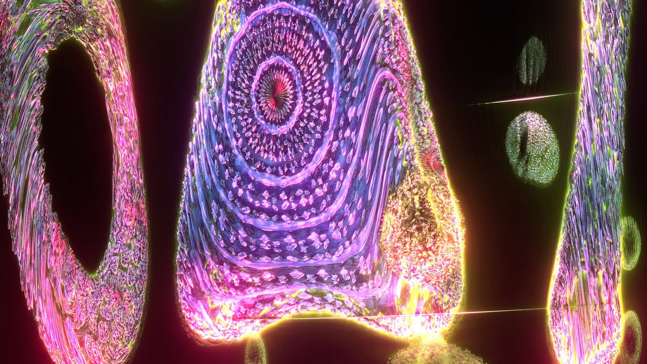 [1 HOUR] Cellular Geometry - Background/Screensaver [4K] [NO SOUND ...